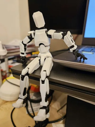 https://makerworld.bblmw.com/makerworld/model/638587/564186/ratings/6a32fab0-2861-11f0-9d05-c96400a08032.jpg