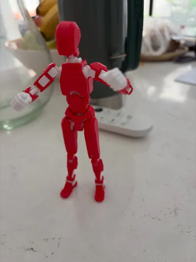 https://makerworld.bblmw.com/makerworld/model/638587/564186/ratings/86ad2410-de71-11f0-9a6f-cfdc27123632.jpg