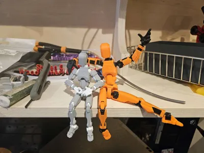 https://makerworld.bblmw.com/makerworld/model/638587/564186/ratings/a4ccc3c0-0f18-11f0-bf48-fd69b2e5366e.jpg