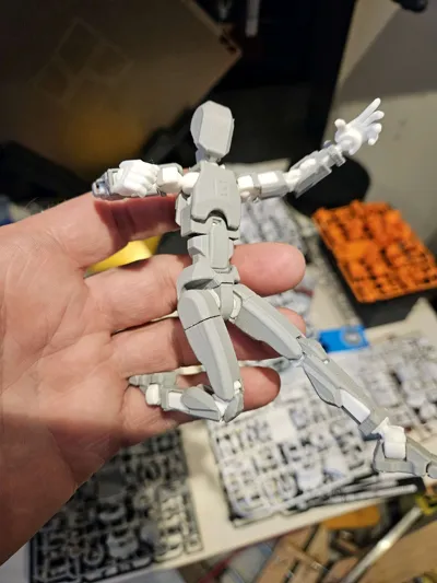 https://makerworld.bblmw.com/makerworld/model/638587/564186/ratings/a4ce4a60-0f18-11f0-bf48-fd69b2e5366e.jpg
