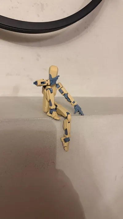 https://makerworld.bblmw.com/makerworld/model/638587/564186/ratings/b05a5fe0-b8f0-11f0-a7fe-519a08d1ac69.jpg