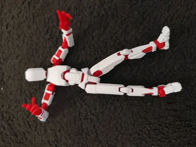 https://makerworld.bblmw.com/makerworld/model/638587/564186/ratings/def0bc80-7342-11f0-a9a1-7ffc32807dbb.jpg