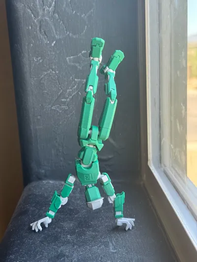 https://makerworld.bblmw.com/makerworld/model/638587/564186/ratings/ff79ba00-56f1-11f0-a7dd-87f2ff505c93.jpg