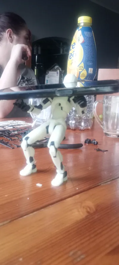 https://makerworld.bblmw.com/makerworld/model/638587/564186/ratings/ffa63fc0-07f6-11f0-8efa-efea36a672c2.jpg