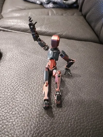 https://makerworld.bblmw.com/makerworld/model/638587/564196/ratings/0ca81890-2c89-11f0-b439-9524006c9f12.jpg