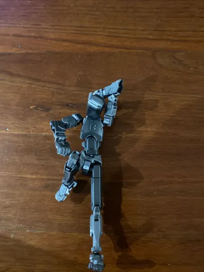 https://makerworld.bblmw.com/makerworld/model/638587/564196/ratings/36ae81c0-908d-11f0-a524-49e8f3cefc62.jpg