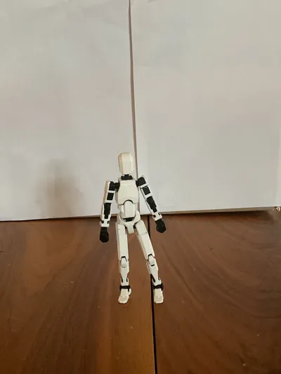 https://makerworld.bblmw.com/makerworld/model/638587/564196/ratings/407c5f10-f4a1-11f0-8664-bf9ee1b6181c.jpg