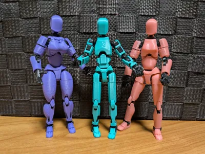 https://makerworld.bblmw.com/makerworld/model/638587/564196/ratings/5ff49640-fdfe-11ef-bc90-1b25d33656ac.jpg