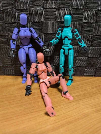 https://makerworld.bblmw.com/makerworld/model/638587/564196/ratings/5ffa1480-fdfe-11ef-bc90-1b25d33656ac.jpg