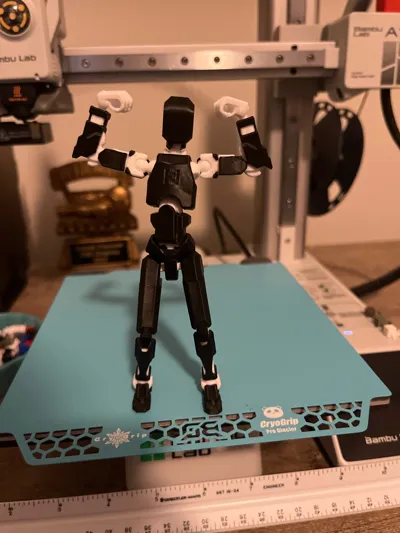 https://makerworld.bblmw.com/makerworld/model/638587/564196/ratings/67e70f30-248d-11f0-938f-59f93b74a598.jpg