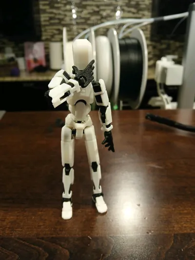 https://makerworld.bblmw.com/makerworld/model/638587/564196/ratings/9e2f74a0-e5ef-11f0-b985-cf10837c01bc.jpg