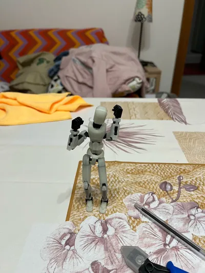 https://makerworld.bblmw.com/makerworld/model/638587/564196/ratings/dcf03f70-435c-11f0-831b-81680e80f78b.jpg