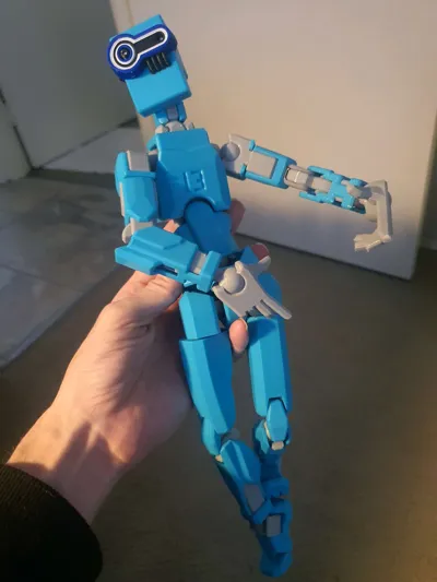 https://makerworld.bblmw.com/makerworld/model/638587/564201/ratings/241138b0-3f74-11f0-aeda-f1a872f2fbfd.jpg