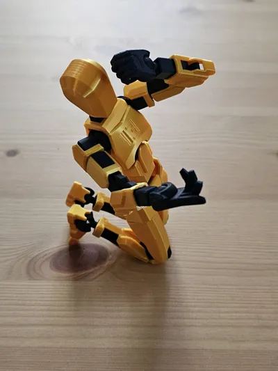 https://makerworld.bblmw.com/makerworld/model/638587/564201/ratings/7b13d460-dbeb-11f0-ad42-67039eeb1325.jpg