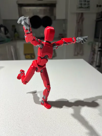 https://makerworld.bblmw.com/makerworld/model/638587/564201/ratings/7d425620-8af7-11f0-a881-e12371691c2e.jpg