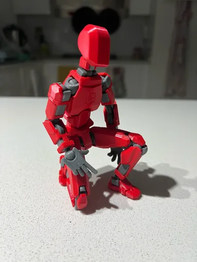 https://makerworld.bblmw.com/makerworld/model/638587/564201/ratings/7d4ae1a0-8af7-11f0-a881-e12371691c2e.jpg