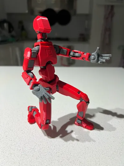 https://makerworld.bblmw.com/makerworld/model/638587/564201/ratings/7d4ba4f0-8af7-11f0-a881-e12371691c2e.jpg