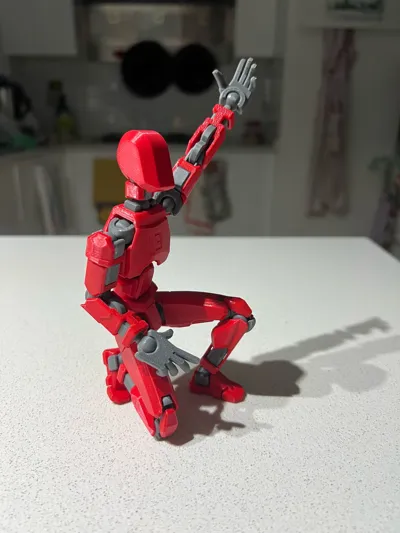 https://makerworld.bblmw.com/makerworld/model/638587/564201/ratings/7d4ed940-8af7-11f0-a881-e12371691c2e.jpg