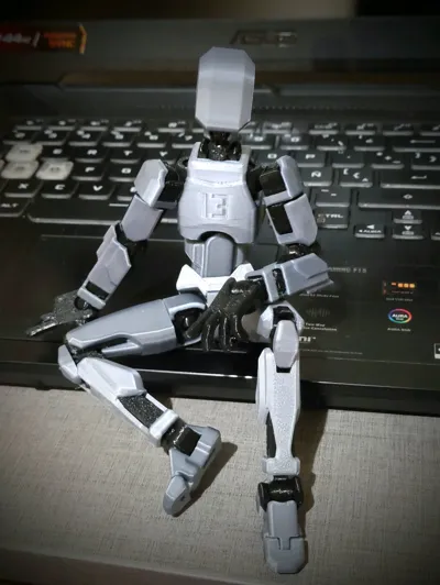 https://makerworld.bblmw.com/makerworld/model/638587/564201/ratings/98827e50-81e8-11f0-9608-170681f81070.jpg