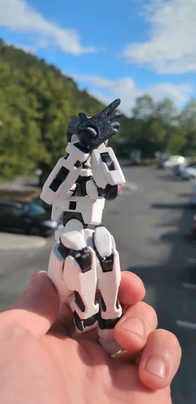 https://makerworld.bblmw.com/makerworld/model/638587/565108/ratings/d7a64c10-7e87-11f0-aa10-d9597e4e8291.jpg