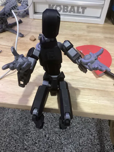 https://makerworld.bblmw.com/makerworld/model/638587/826094/ratings/51644e60-f0f4-11f0-97c8-518c26e6eb63.jpg