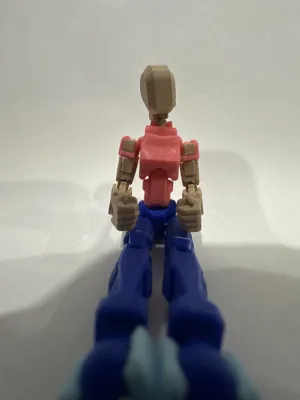 https://makerworld.bblmw.com/makerworld/model/638594/565130/ratings/6dbda9a3-0908-11f0-a338-a3062bf1d4ce.jpg