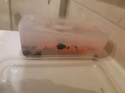 https://makerworld.bblmw.com/makerworld/model/638594/565130/ratings/aa02ff50-e03f-11f0-a978-b716965f3854.jpg