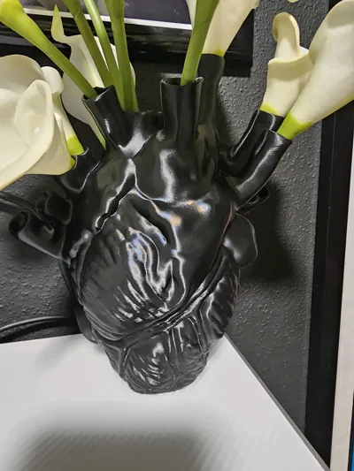 https://makerworld.bblmw.com/makerworld/model/638602/564204/ratings/074fa6f0-2c03-11f0-b5f5-0769cfd803bd.jpg