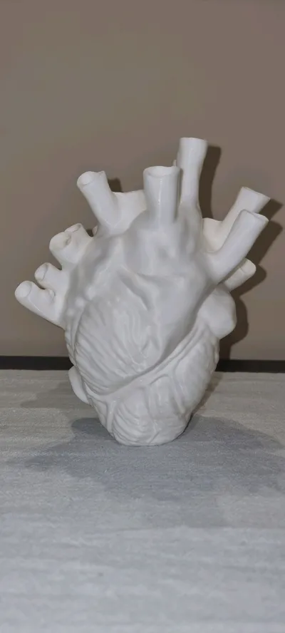 https://makerworld.bblmw.com/makerworld/model/638602/564204/ratings/697cace0-d6d2-11f0-9043-1144a607c715.jpg