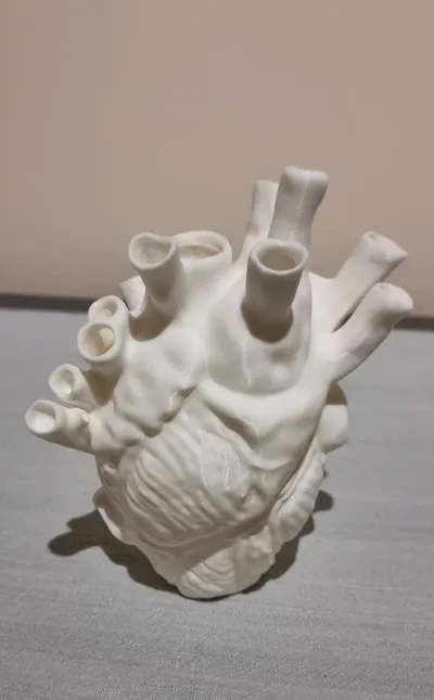 https://makerworld.bblmw.com/makerworld/model/638602/564204/ratings/697de560-d6d2-11f0-9043-1144a607c715.jpg