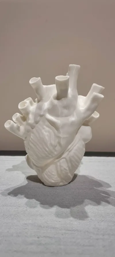 https://makerworld.bblmw.com/makerworld/model/638602/564204/ratings/698a1a60-d6d2-11f0-9043-1144a607c715.jpg