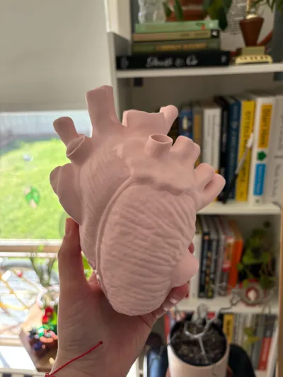 https://makerworld.bblmw.com/makerworld/model/638602/564204/ratings/b2f20b00-9e73-11f0-93ed-ff0631af7913.jpg