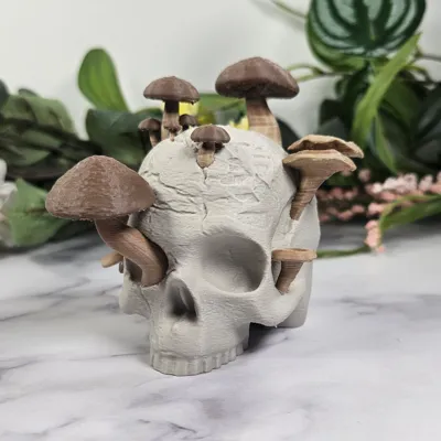 https://makerworld.bblmw.com/makerworld/model/639015/564755/ratings/d12bbe10-065f-11f0-bce8-65d6ebef4d4a.jpg