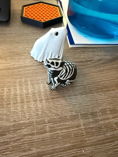 https://makerworld.bblmw.com/makerworld/model/639401/565218/ratings/e275c170-a830-11f0-b207-5152c134af4b.jpg