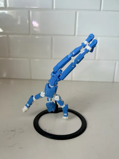 https://makerworld.bblmw.com/makerworld/model/639685/565515/ratings/497e0b60-007b-11f0-8b7a-db43a469fdbb.jpg