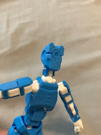https://makerworld.bblmw.com/makerworld/model/639685/565515/ratings/ad87caa0-634b-11f0-9ce3-69134d056de7.jpg