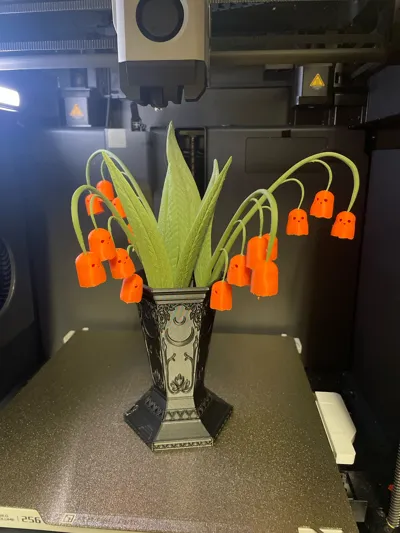 https://makerworld.bblmw.com/makerworld/model/640394/566244/ratings/cffd1b10-9a39-11f0-98fe-67bbcf70309e.jpg