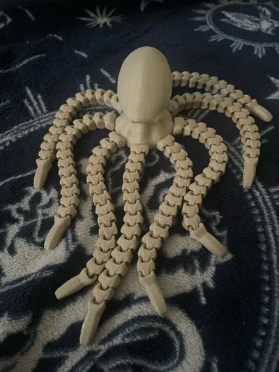 https://makerworld.bblmw.com/makerworld/model/641282/567242/ratings/d3c72e50-55d0-11f0-bebb-d7ab5040c5a0.jpg