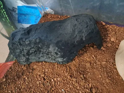 https://makerworld.bblmw.com/makerworld/model/641677/567637/ratings/ce8b8090-6dc1-11f0-ac73-954cf17284e1.jpg