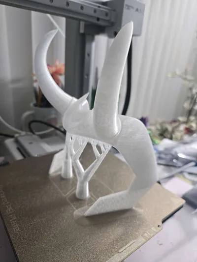 https://makerworld.bblmw.com/makerworld/model/64174/1487768/ratings/2796f390-ec48-11f0-a682-2318b71659be.jpg