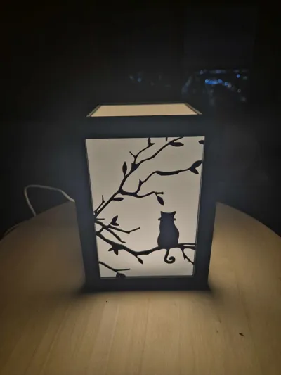 https://makerworld.bblmw.com/makerworld/model/642231/568157/ratings/289478e0-94d1-11f0-90ca-c77bcd473de8.jpg