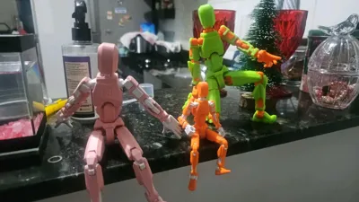 https://makerworld.bblmw.com/makerworld/model/642630/568594/ratings/6e3874b0-eab1-11f0-ac57-b3afb47f0c0b.jpg