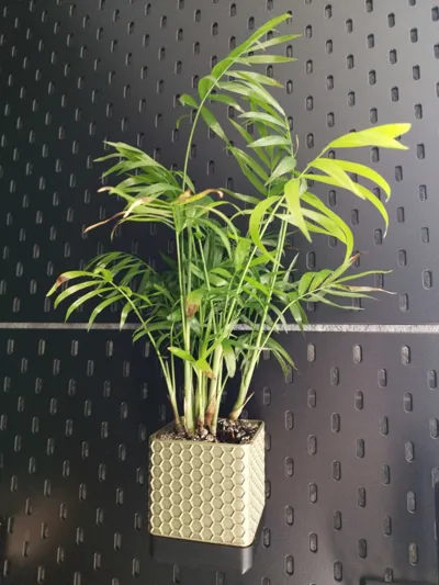 https://makerworld.bblmw.com/makerworld/model/643341/569365/ratings/98769500-2341-11f0-bfed-834e2be206f7.jpg