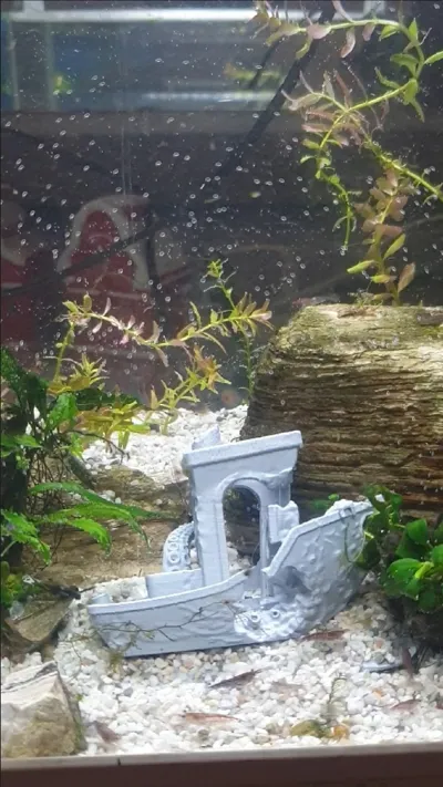 https://makerworld.bblmw.com/makerworld/model/646388/572636/ratings/738cacc0-dc32-11f0-b2a2-5f358c1d1dab.jpg
