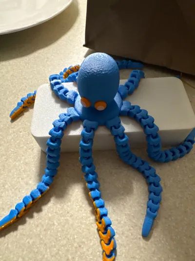 https://makerworld.bblmw.com/makerworld/model/647560/951165/ratings/4bc8c320-4913-11f0-88d2-9fb09d4a653c.jpg