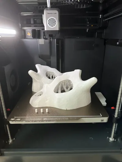 https://makerworld.bblmw.com/makerworld/model/649877/576371/ratings/289555c0-2b32-11f0-8433-39e40685e8aa.jpg