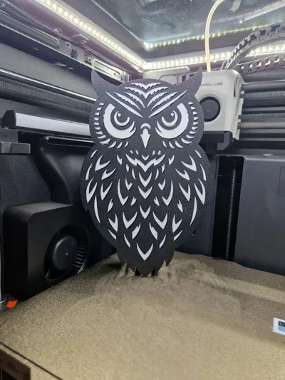 https://makerworld.bblmw.com/makerworld/model/650440/576995/ratings/2776a6e0-a7d7-11f0-8441-a5f6437fb91f.jpg