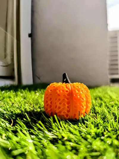 https://makerworld.bblmw.com/makerworld/model/650874/672501/ratings/232e5820-83e3-11f0-b7dc-63445375aefb.jpg