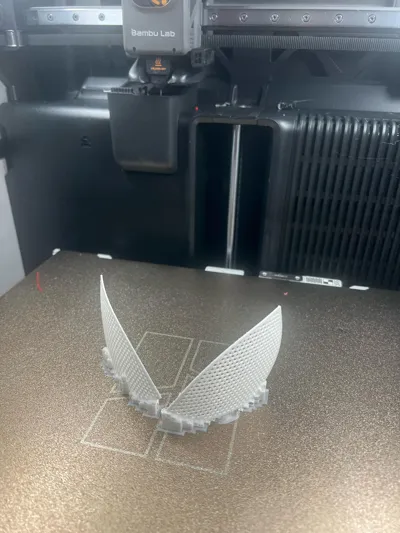 https://makerworld.bblmw.com/makerworld/model/651372/591123/ratings/533e3920-b8ba-11f0-adc2-59228eb3c277.jpg
