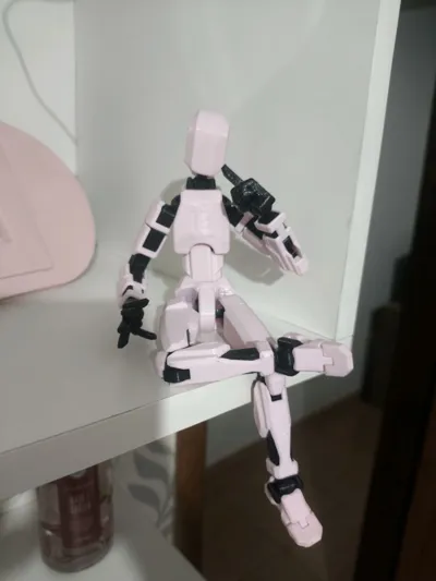https://makerworld.bblmw.com/makerworld/model/652841/1011396/ratings/af074640-4b03-11f0-907f-ab997c52750c.jpg